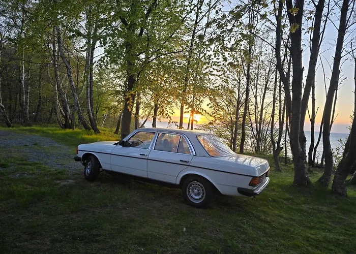 Rossetowka Jastrzębia Góra