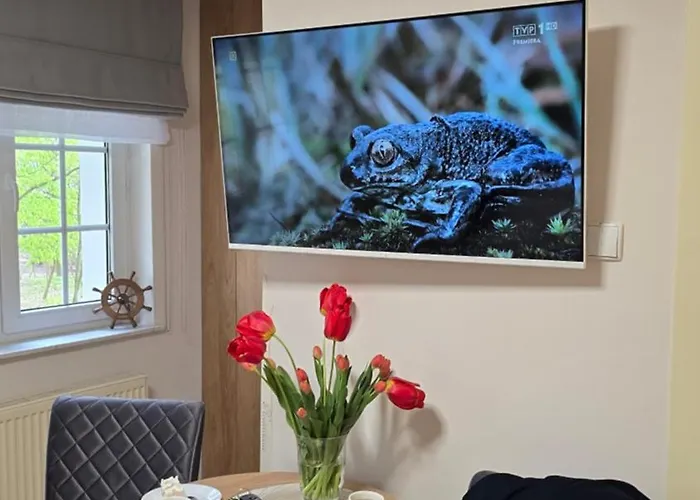 Rossetowka Jastrzębia Góra